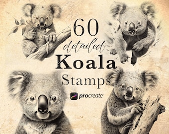 60 Koala Procreate Stamp Brushes | Wildlife Animal Procreate Stamps | Forest Life Set | Animal  Procreate | Tattoo Reference Microrealism