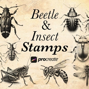 40+ Beetle & Insect Procreate Stamp Brushes | Insect Brush Stamps Set | Bug Procreate | Tattoo Stencil | Bugs for coloring