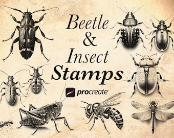 40+ Beetle & Insect Procreate Stamp Brushes | Insect Brush Stamps Set | Bug Procreate | Tattoo Stencil | Bugs for coloring