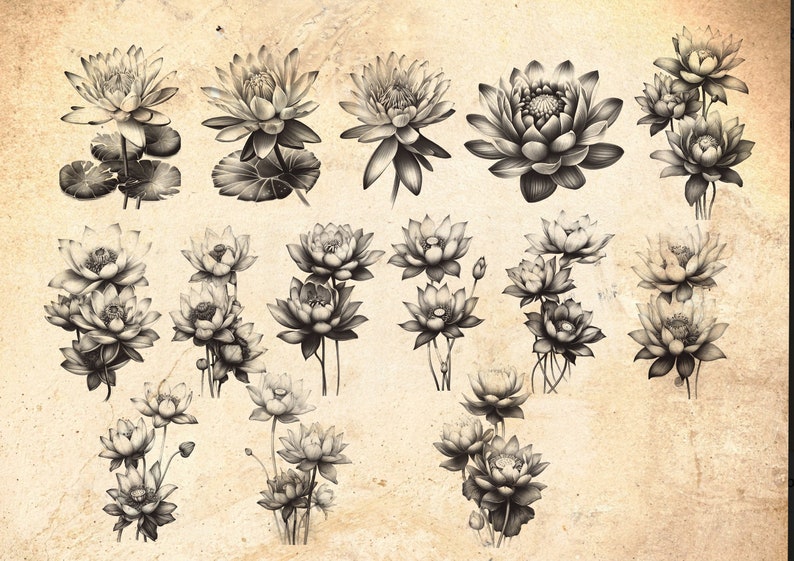 Lotus Flower Procreate Stamp Brush Set: Botanical Tattoo Stamps (40) - Etsy