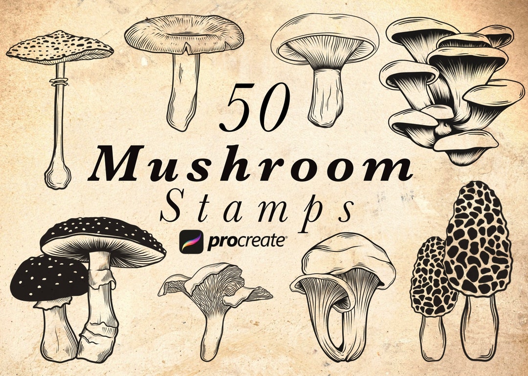 Mushroom Procreate Stamp Brushes: Fungi Stencil Set (digital Download ...