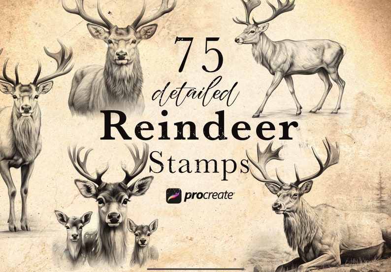 May include: 75 detailed Reindeer Stamps for Procreate. A collection of black and white illustrations of reindeer with antlers in various poses.