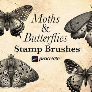 Può includere: Quattro illustrazioni in bianco e nero di falene e farfalle, con il testo "Moths & Butterflies Stamp Brushes procreate" su uno sfondo beige.