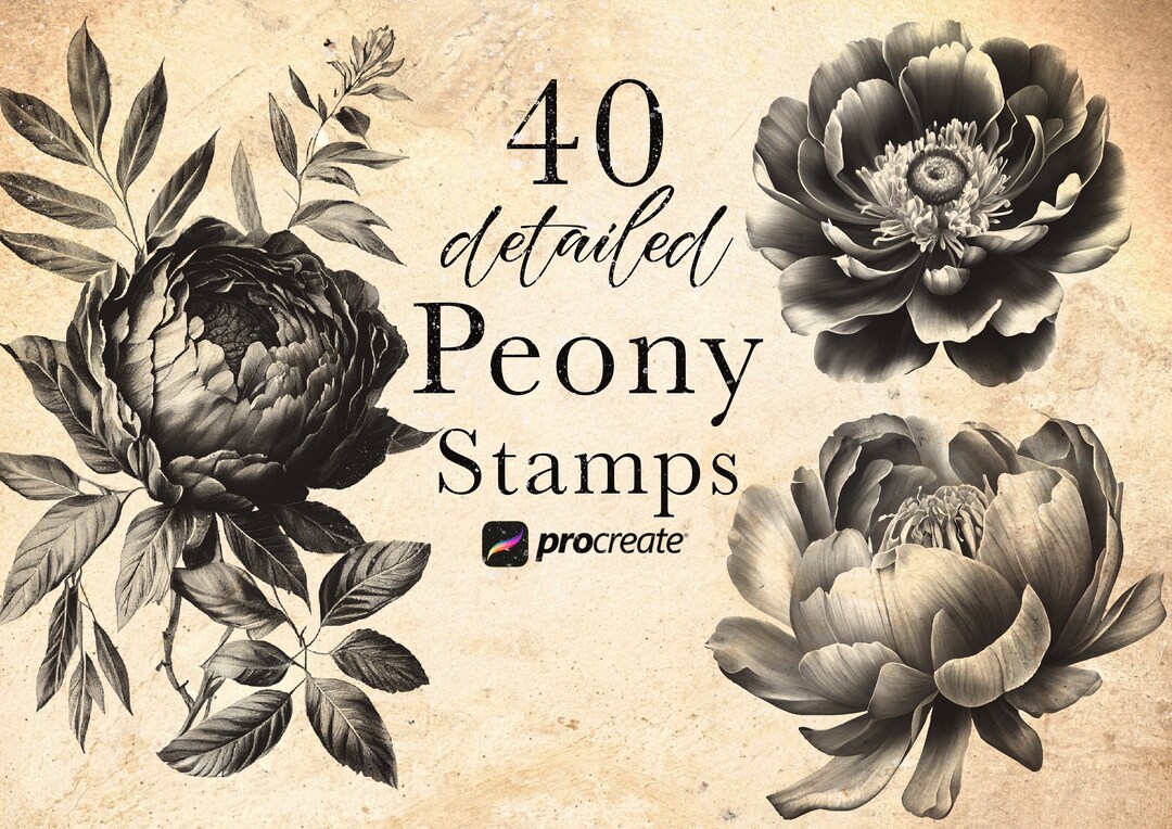 Peony Flower Procreate Stamp Brushes | Blossom Stamps | September Birth ...