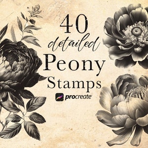 Peony Flower Procreate Stamp Brushes |  Blossom Stamps | September Birth Flower Art Brushes | Tattoo stamps | Botanical Stamps | spring set