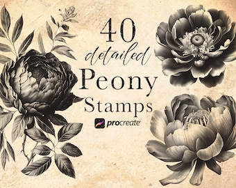 Peony Flower Procreate Stamp Brushes: Botanical Art, Tattoo Stamps (Digital Download)