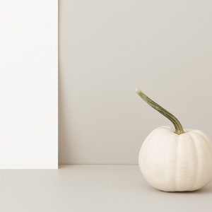 May include: A small, white pumpkin with a curved green stem sits on a light gray surface. The pumpkin is round with subtle ridges. A white rectangular shape is on the left side of the frame, against a light gray background.