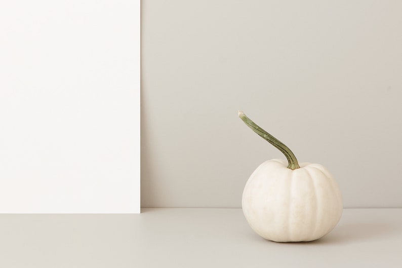 May include: A small, white pumpkin with a curved green stem sits on a light gray surface. The pumpkin is round with subtle ridges. A white rectangular shape is on the left side of the frame, against a light gray background.