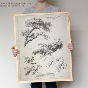 May include: A black and white botanical illustration of tree branches with leaves. The illustration is framed in a light wood frame. The text "II CARRE DE LA PAYSAGE - X.1" is at the top of the illustration.