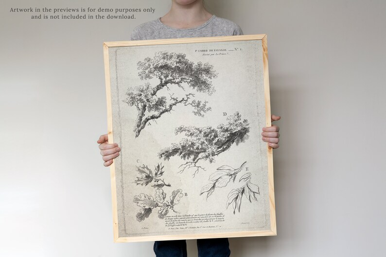 May include: A black and white botanical illustration of tree branches with leaves. The illustration is framed in a light wood frame. The text "II CARRE DE LA PAYSAGE - X.1" is at the top of the illustration.