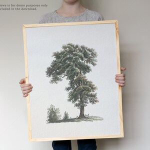 May include: A framed print of a detailed illustration of a tree with green leaves and a brown trunk. The print is on a white background and is framed in a natural wood frame.