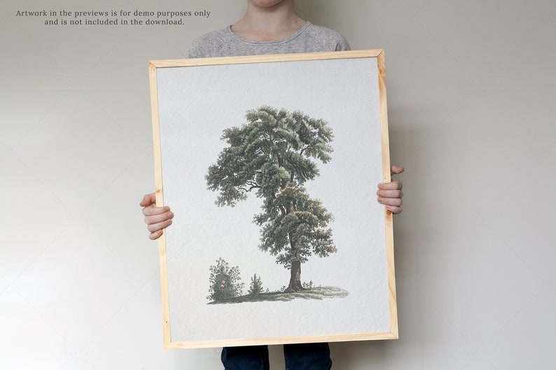 May include: A framed print of a detailed illustration of a tree with green leaves and a brown trunk. The print is on a white background and is framed in a natural wood frame.