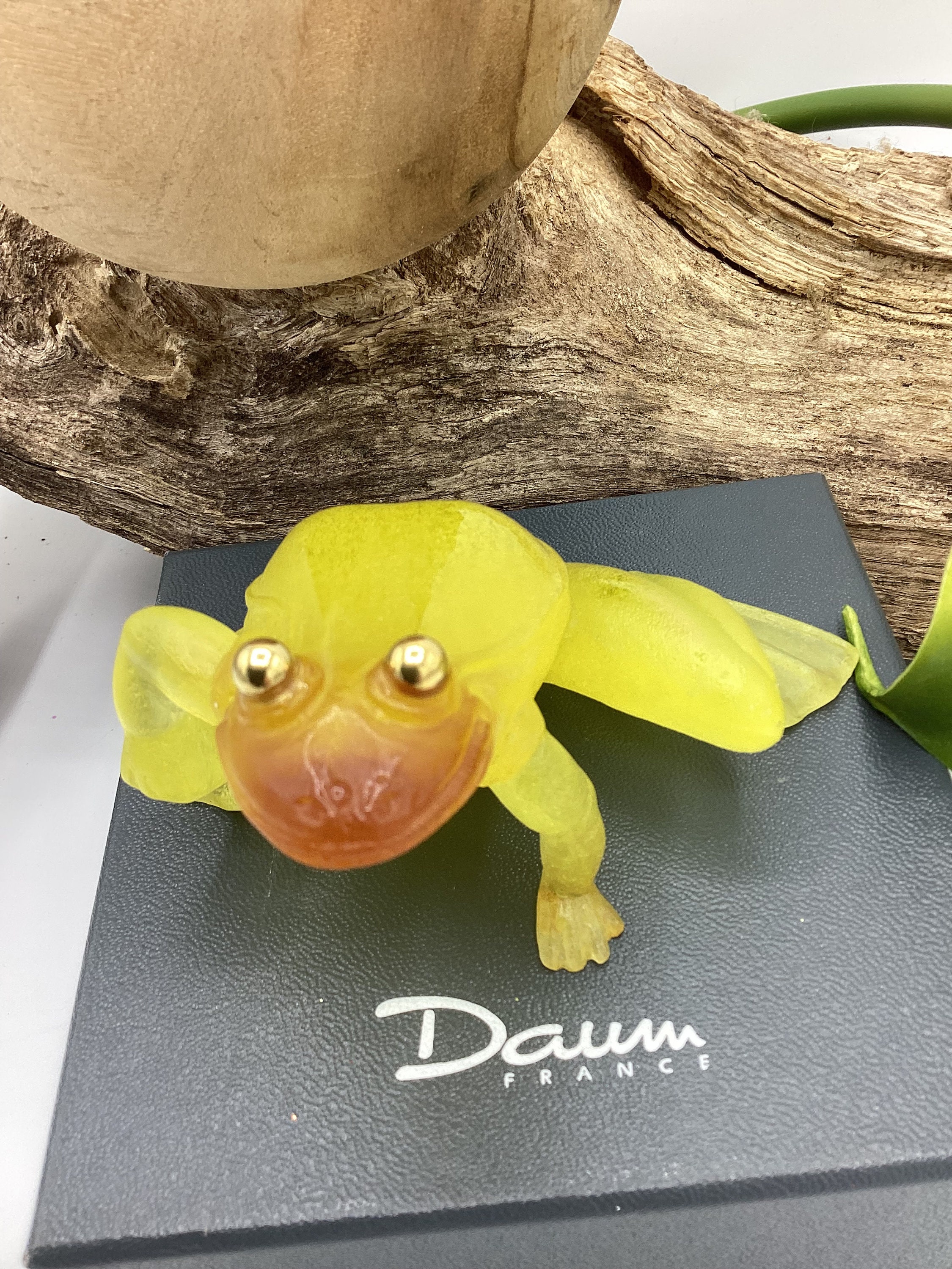 Daum ドーム　 Pate De Verre 蛙 Frog ネックレス Daum ドーム Pate De Verre 蛙 Frog ネックレス