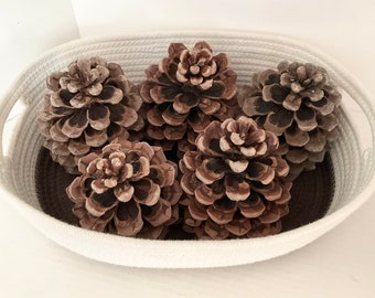 Vintage Pine Cones Basket Home Decor