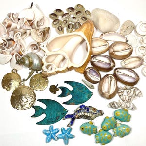 May include: A collection of seashells, including spiral shells, cowrie shells, and a large conch shell. Also included are gold-colored sand dollar pendants, turquoise fish-shaped ornaments, and blue starfish decorations. A variety of coastal decor.