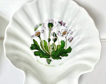 Vintage 80s Portmeirion Botanic Garden Shell Dishes Daisy Choice of 2