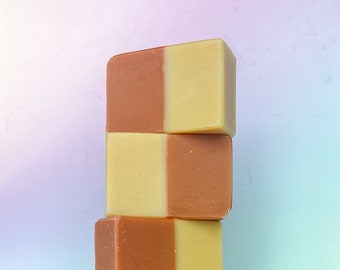 Bonsai & Citrus Ginger Bar Soap - 5oz | succulent citrus and woodsy scent | handmade soap