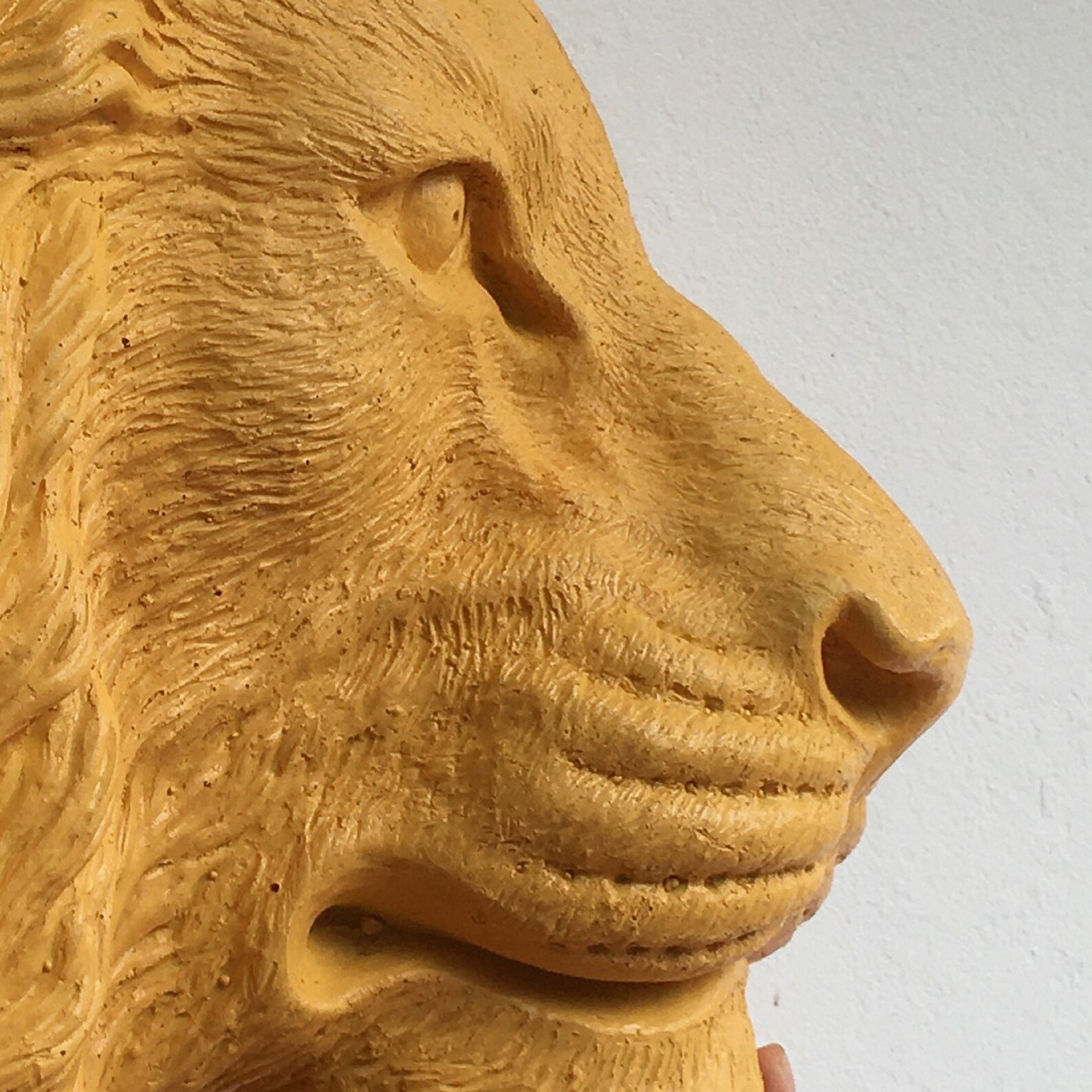 Large Lion Head Wall Decor Faux Taxidermy Yellow Lion Head Etsy Israel