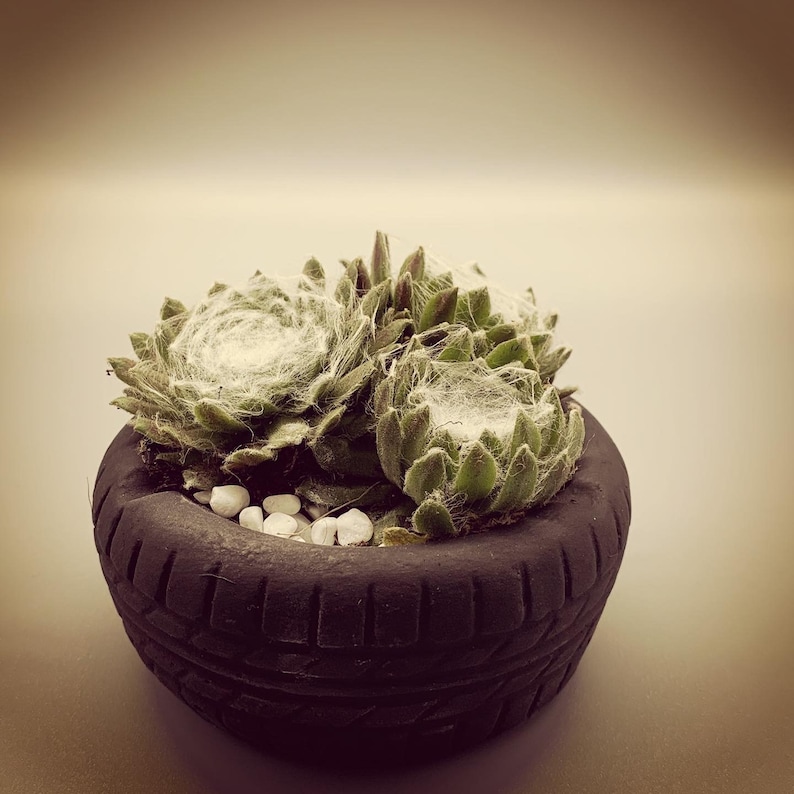 Unique Ashtray Car Tire Tyre with a succulent Perfect gift for him