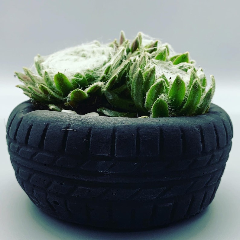 Unique Ashtray Car Tire Tyre with a succulent Perfect gift for him