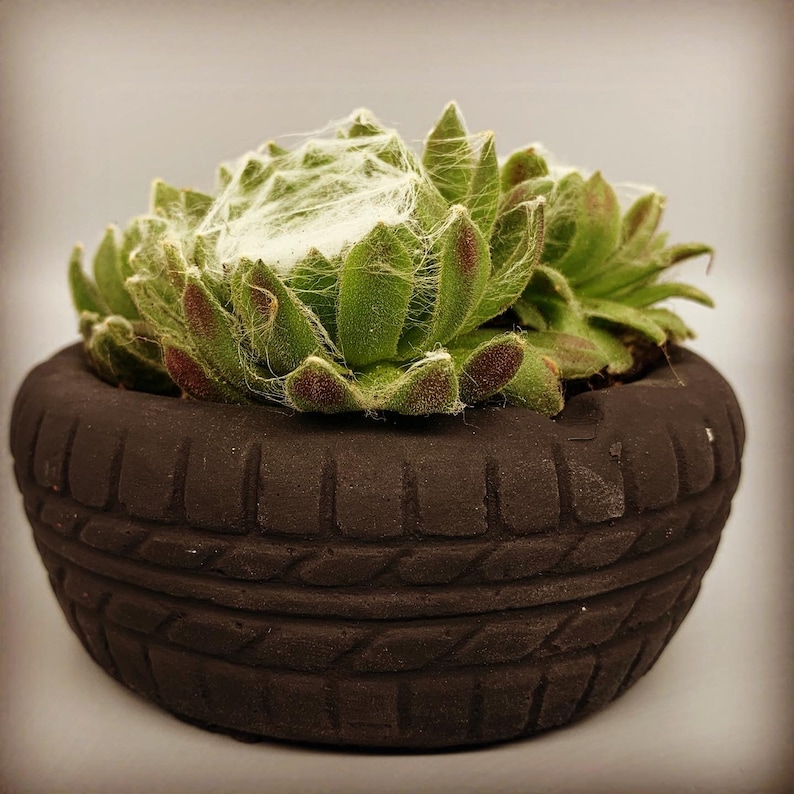 Unique Ashtray Car Tire Tyre with a succulent Perfect gift for him