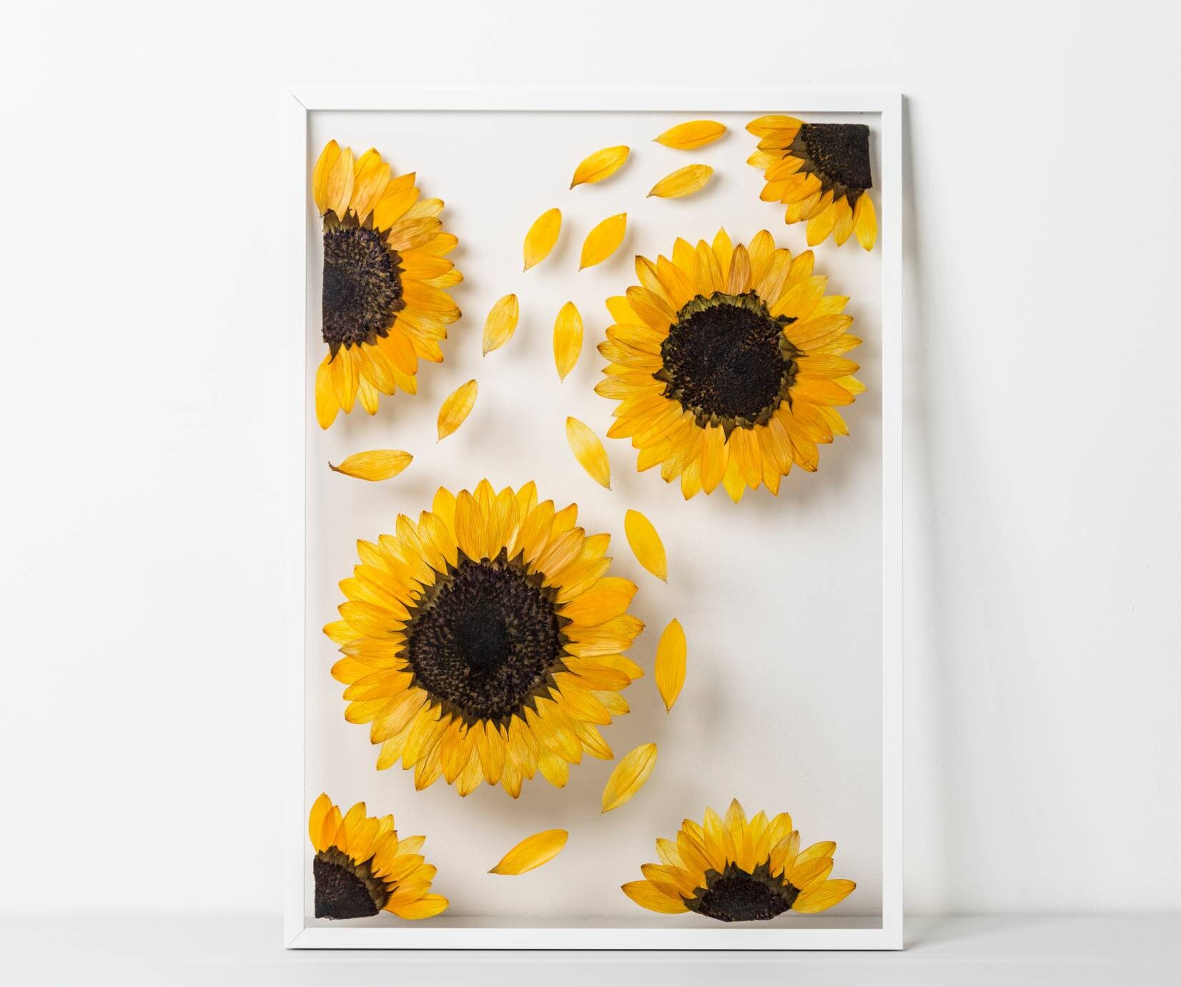 Here Comes The Sun Real Pressed Sunflower Frame Sunflower Etsy