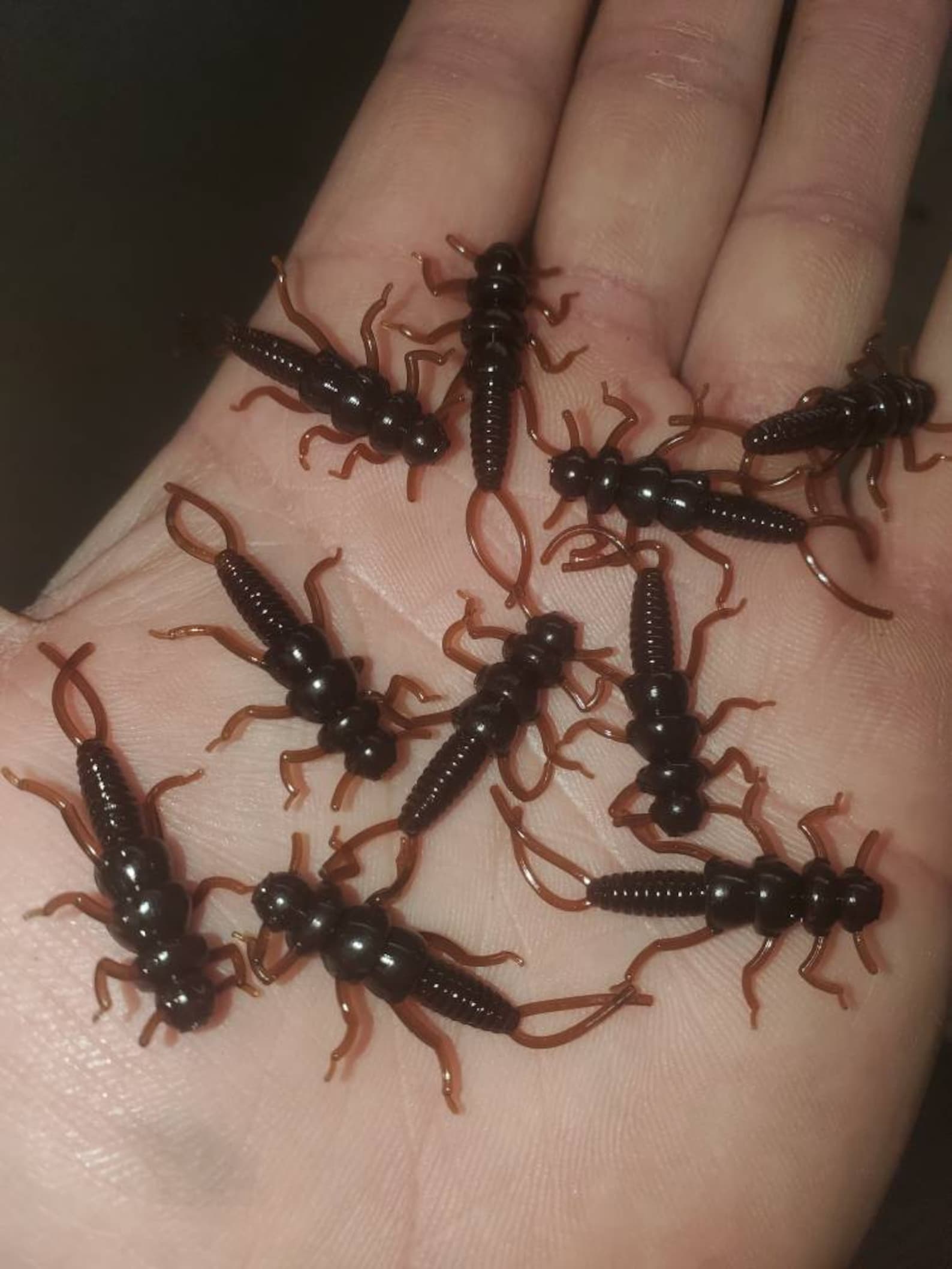 Soft Plastic Stonefly Etsy