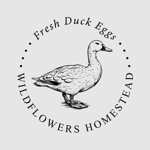 Fresh Duck Egg Carton Stamp | Homesteading Stamp | Egg Carton Label | Hobby Fram Stamp | Rubber Stamp and Self Inking Stamp | Design: STB019 image 4