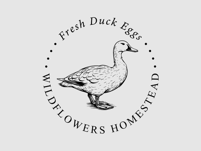 Fresh Duck Egg Carton Stamp | Homesteading Stamp | Egg Carton Label | Hobby Fram Stamp | Rubber Stamp and Self Inking Stamp | Design: STB019 image 4