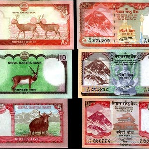 Peut inclure: Plusieurs billets de banque népalais. Les billets présentent des images de cerfs, de montagnes et d'un yak, avec du texte en anglais et en népalais. Les billets sont dans des tons de rouge, de vert et de marron. Mesures non applicables.