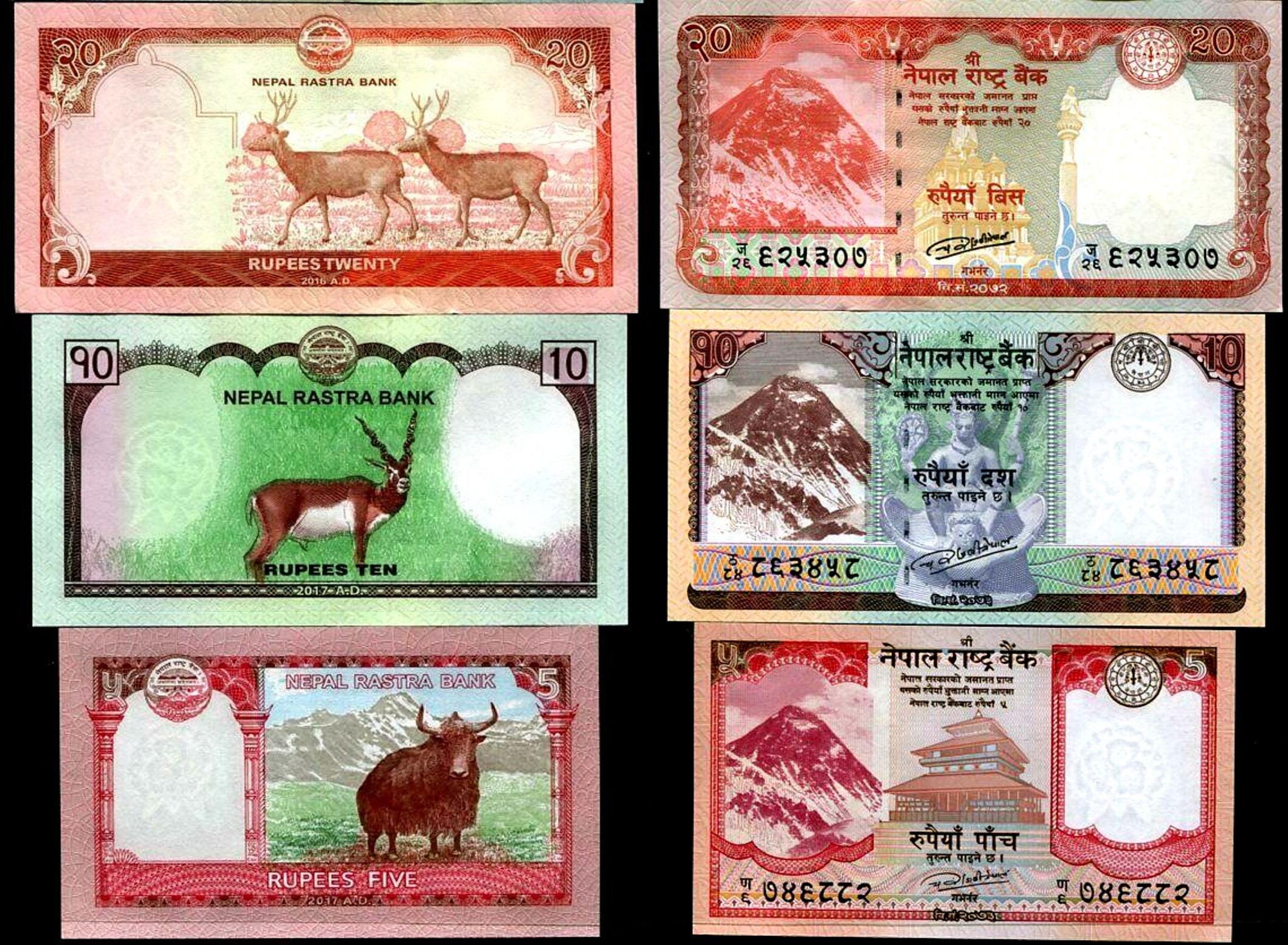Nepal currency - Etsy 日本