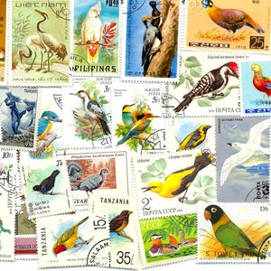 100 aves diferentes de todo el mundo en sellos. Todos los sellos postales originales grandes. Colección de sellos. Conjunto raro.