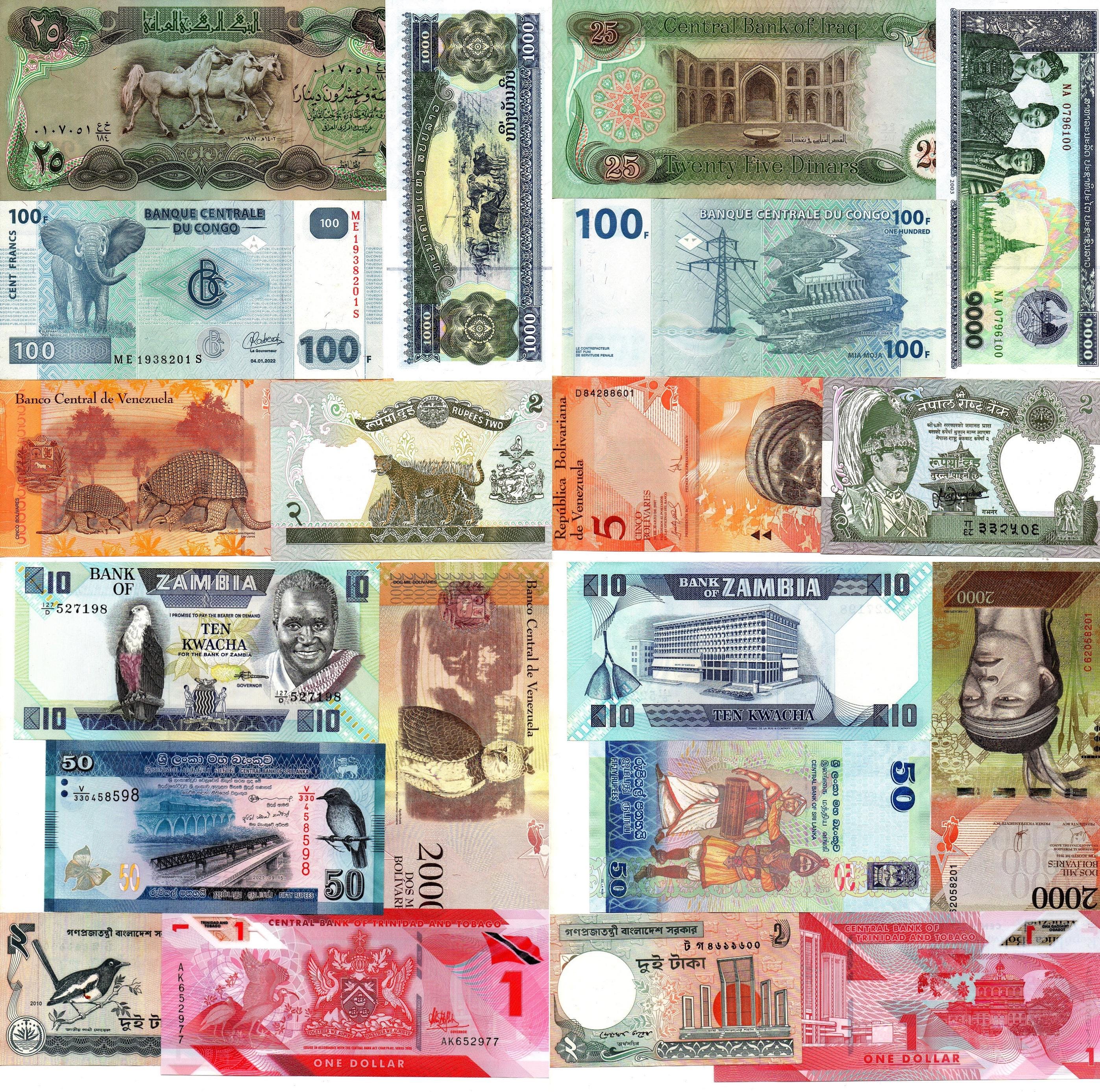 Lot 10 PCS Different Animals and Birds on Banknotes Original Authentic World wide Countries Currency Notes