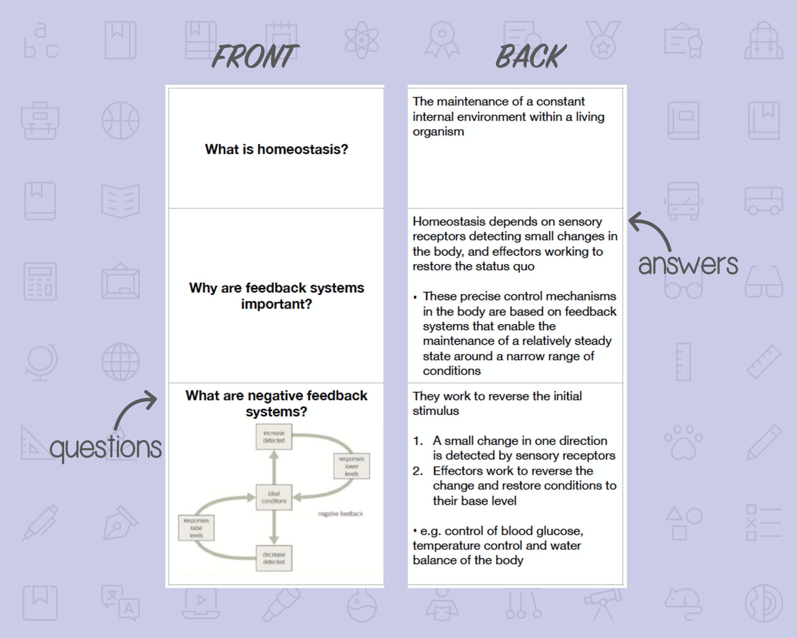 BIOLOGY FLASHCARDS A LEVEL Homeostasis Etsy UK