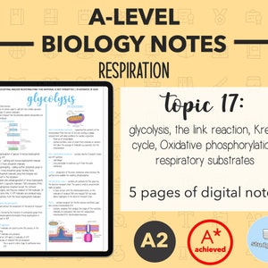 BIOLOGY NOTES A LEVEL: Respiration