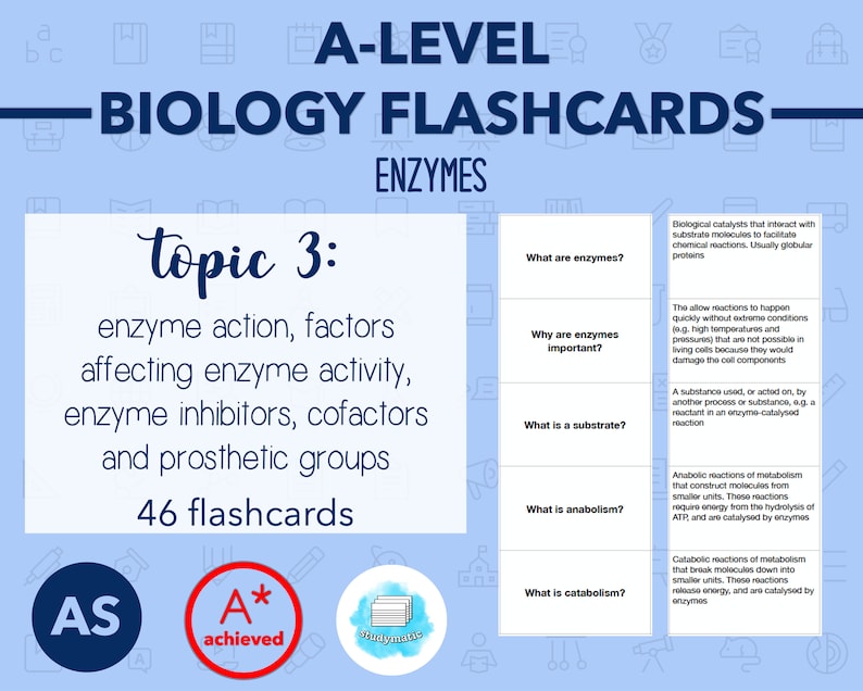BIOLOGY FLASHCARDS A LEVEL Enzymes Etsy