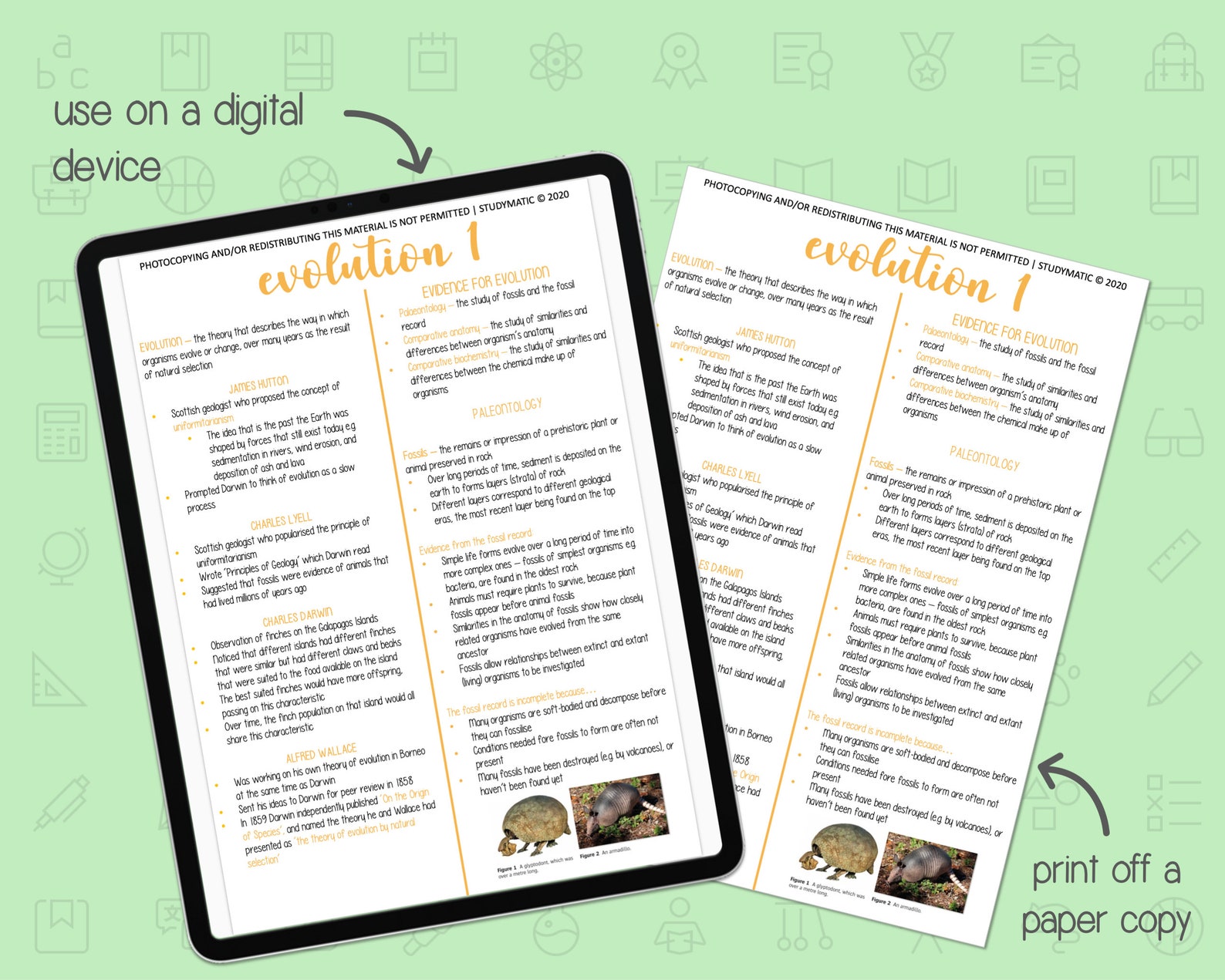 BIOLOGY NOTES A LEVEL: Classification and Evolution - Etsy UK