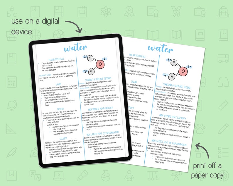 BIOLOGY NOTES A LEVEL: Biological Molecules - Etsy UK