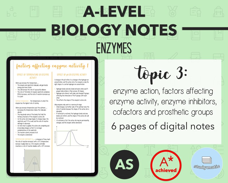 BIOLOGY NOTES A LEVEL Enzymes Etsy
