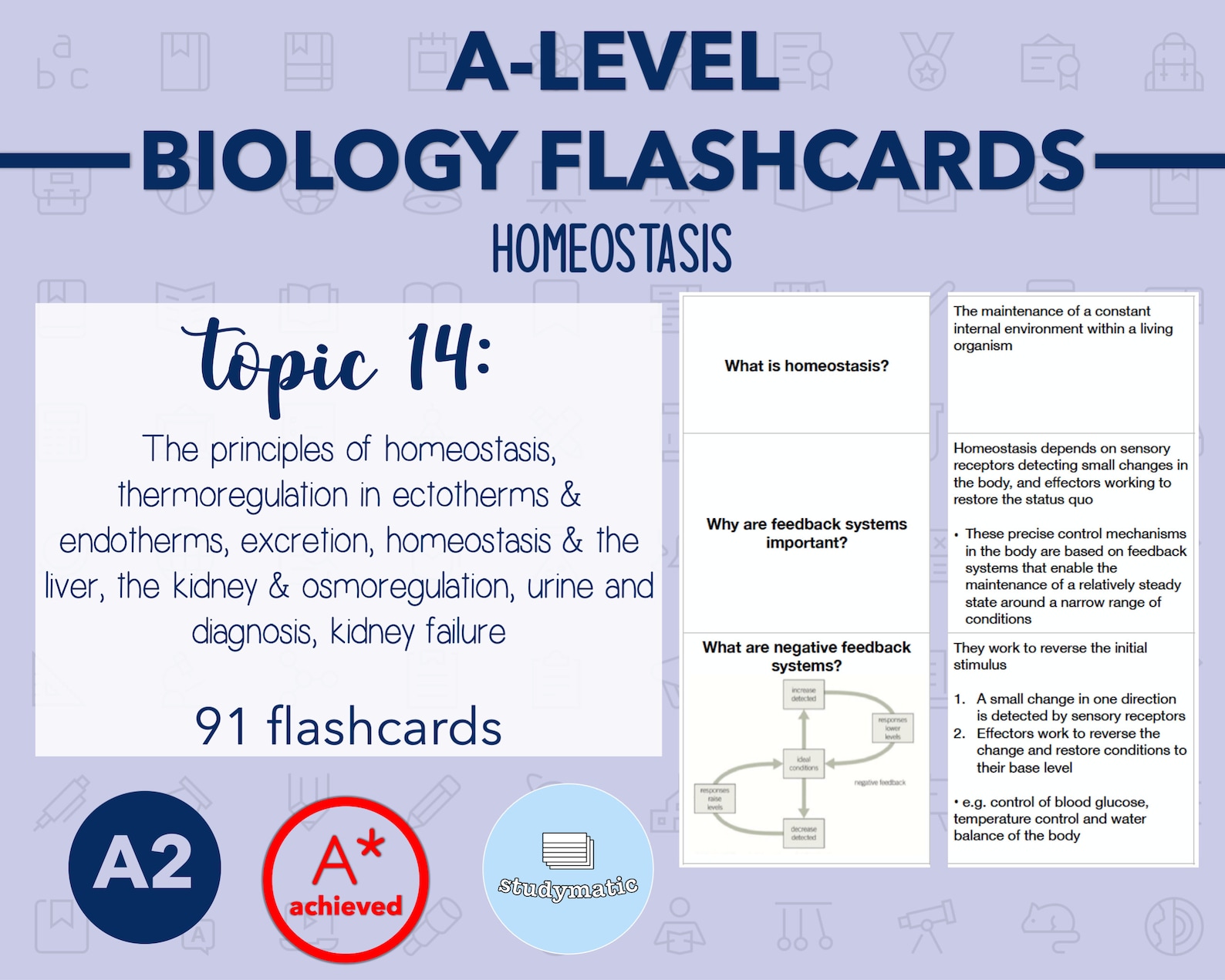 BIOLOGY FLASHCARDS A LEVEL Homeostasis Etsy UK