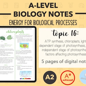 BIOLOGY NOTES A LEVEL: Energy for Biological Processes