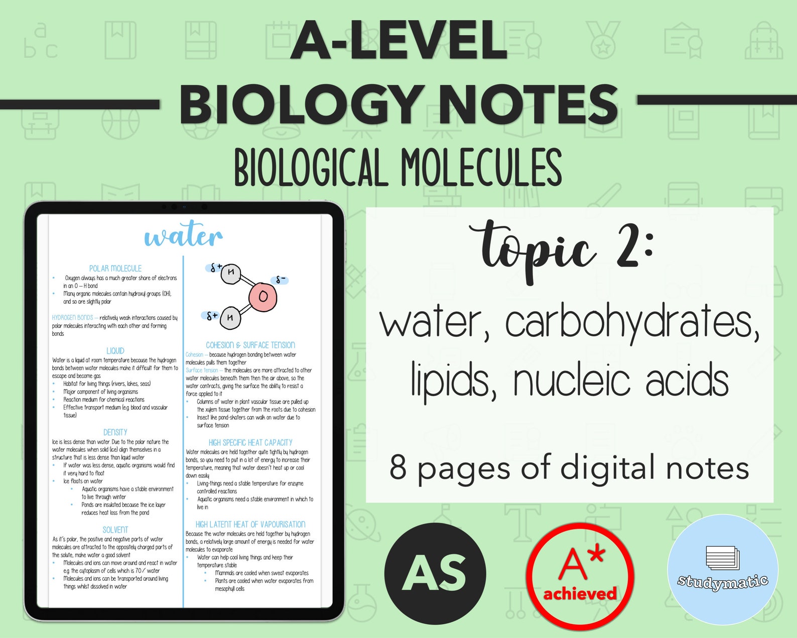 BIOLOGY NOTES A LEVEL: Biological Molecules - Etsy UK