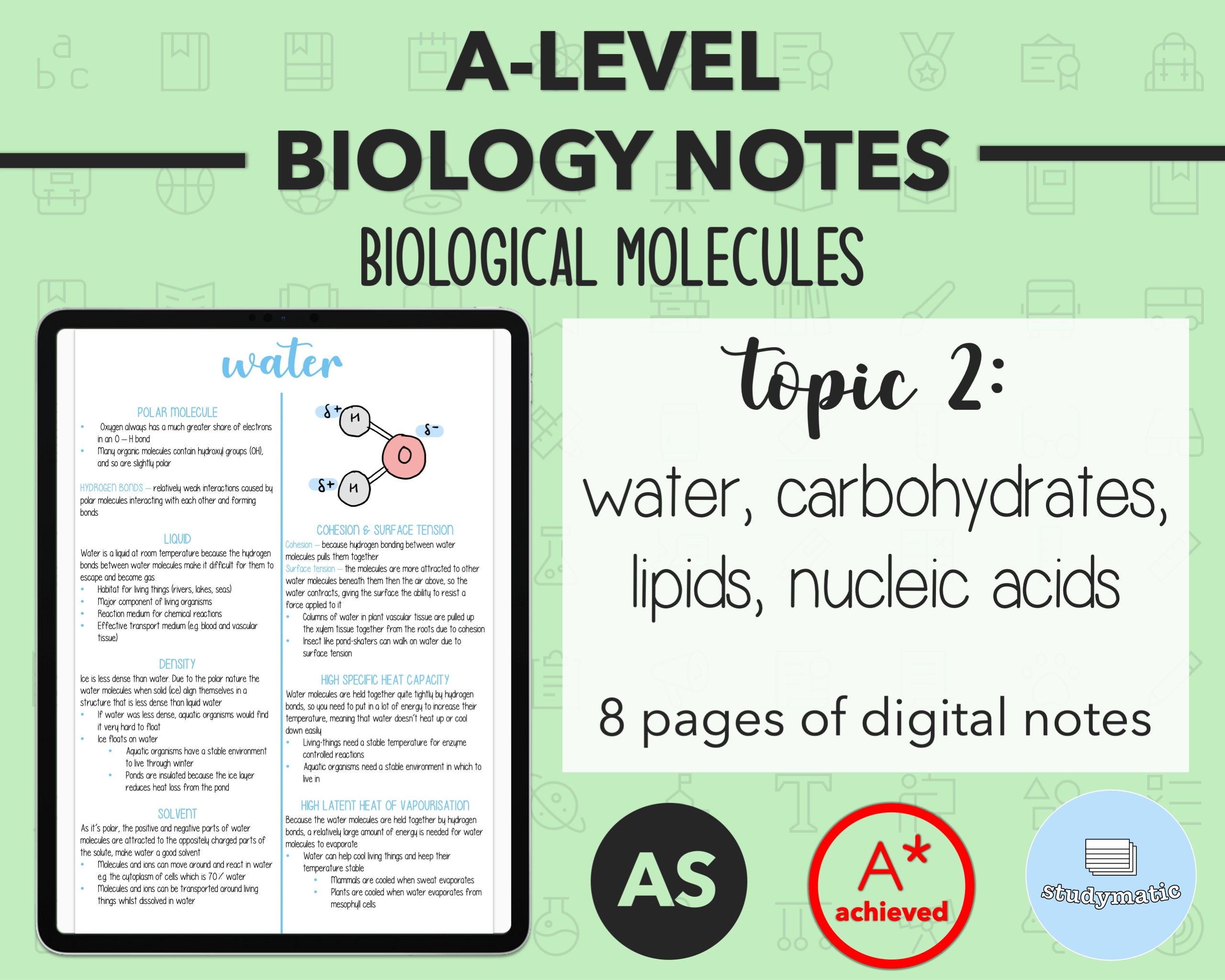 Biology Notes A Level Biological Molecules Etsy Biology Notes A Level Biological Molecules Etsy