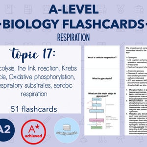 BIOLOGY FLASHCARDS A LEVEL: Respiration
