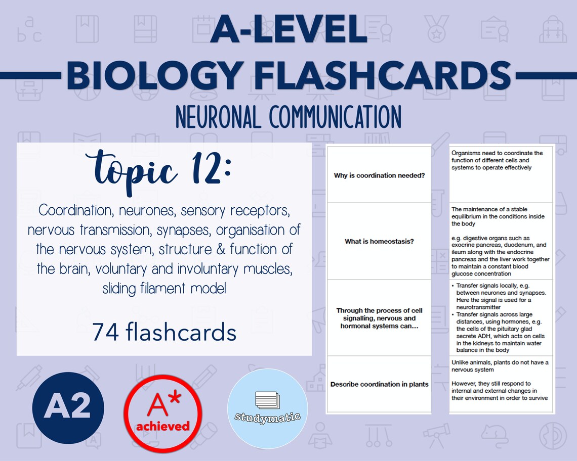 BIOLOGY FLASHCARDS A LEVEL Neuronal Communication Etsy
