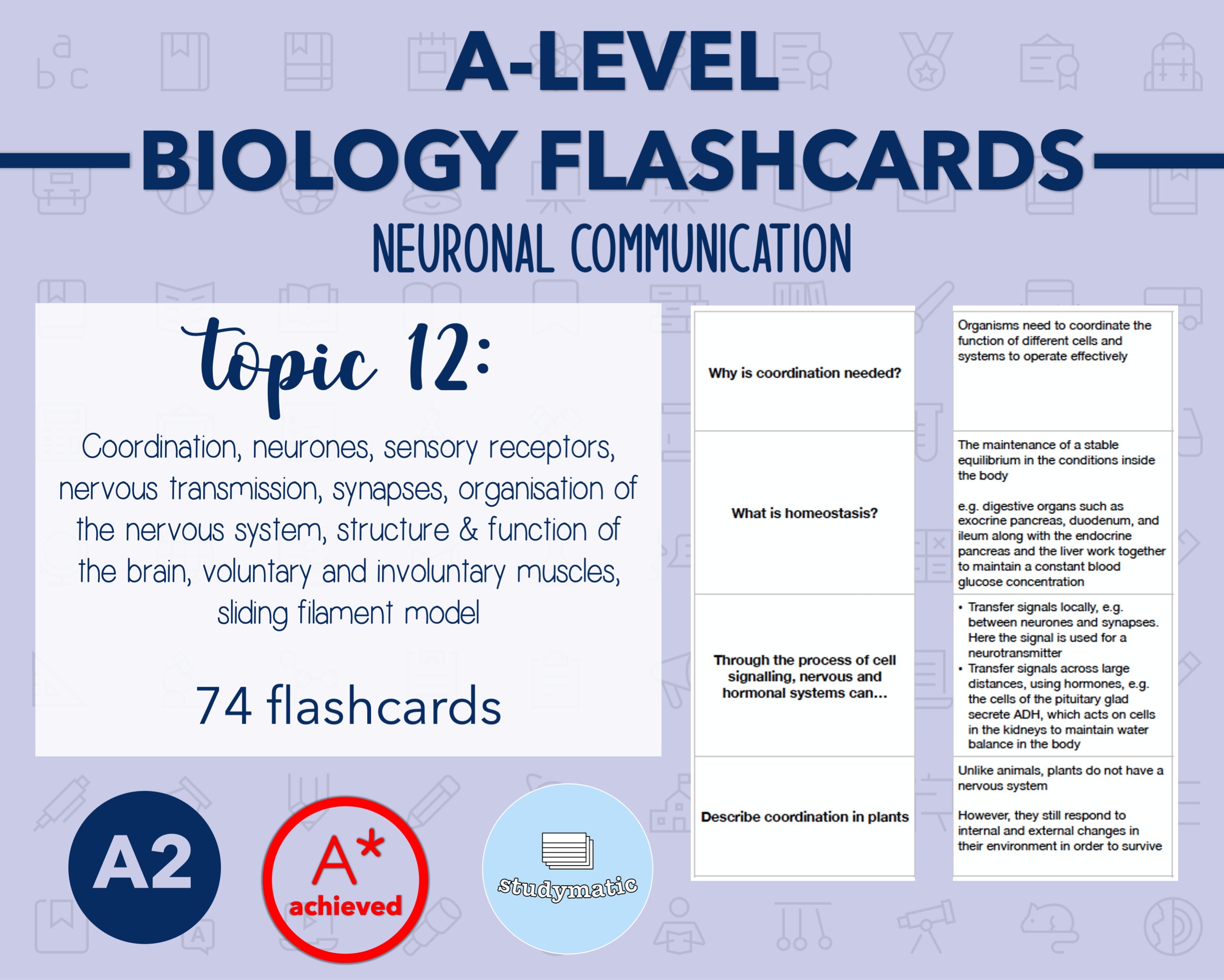 BIOLOGY FLASHCARDS A LEVEL Neuronal Communication Etsy