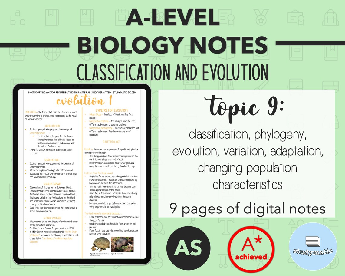 BIOLOGY NOTES A LEVEL: Classification and Evolution - Etsy UK