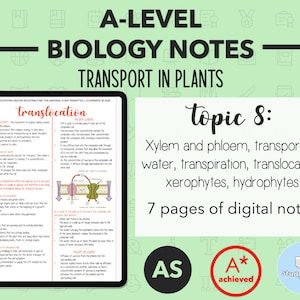 BIOLOGY NOTES A LEVEL: Transport In Plants