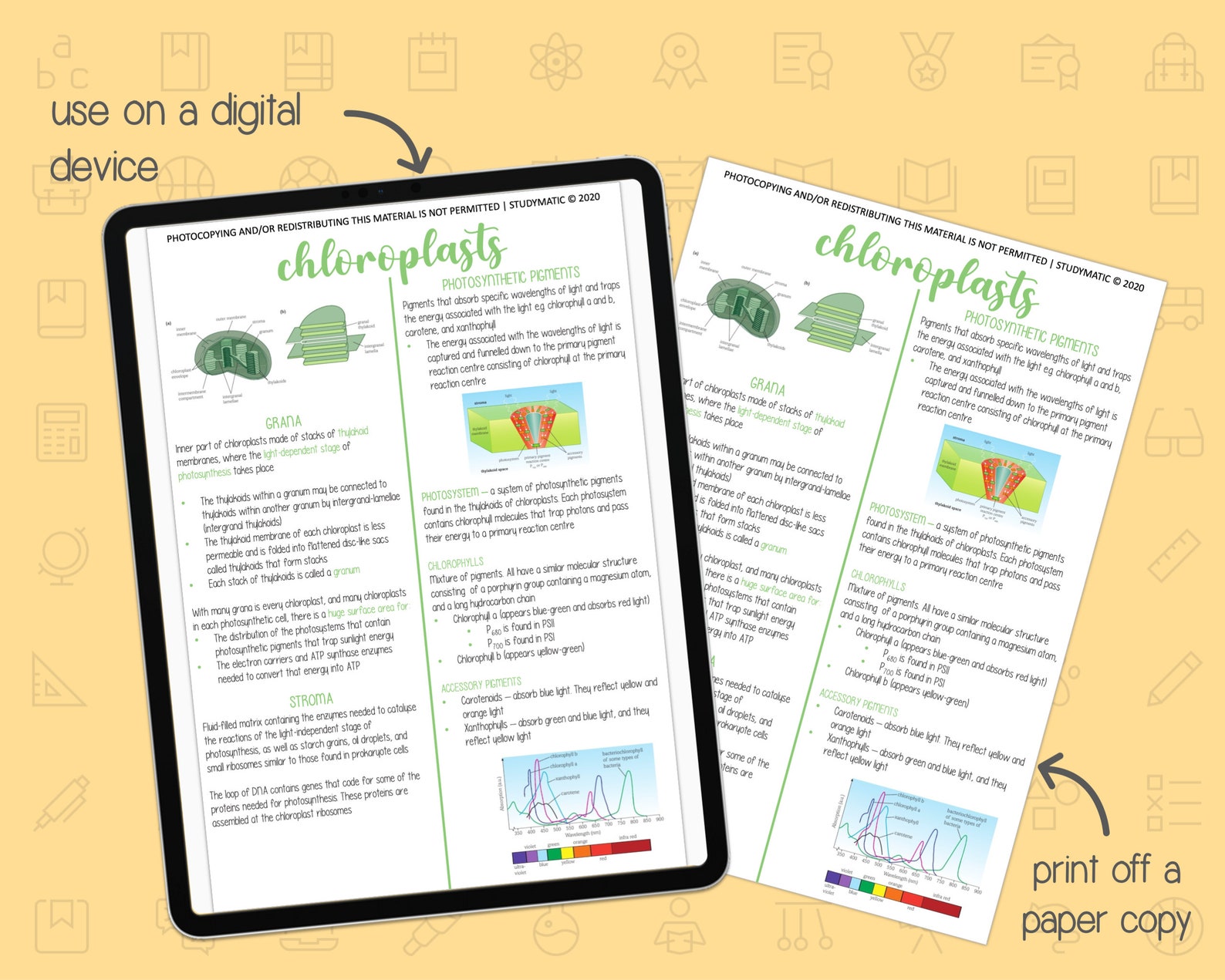 BIOLOGY NOTES A LEVEL: Energy for Biological Processes - Etsy
