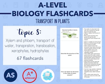 A Level Biology Revision Notes-"water Transport in Plants" - Etsy